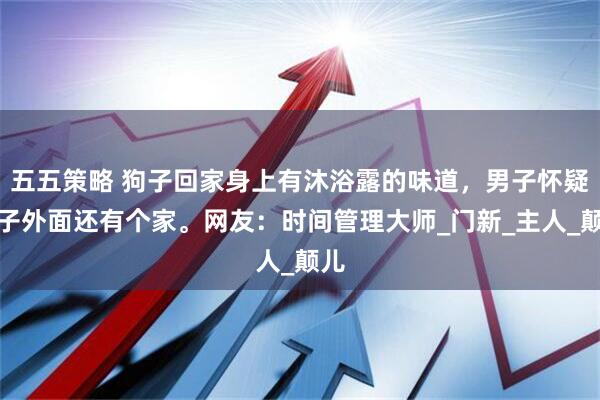 五五策略 狗子回家身上有沐浴露的味道，男子怀疑狗子外面还有个家。网友：时间管理大师_门新_主人_颠儿