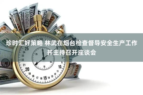 珍时汇好策略 林武在烟台检查督导安全生产工作并主持召开座谈会